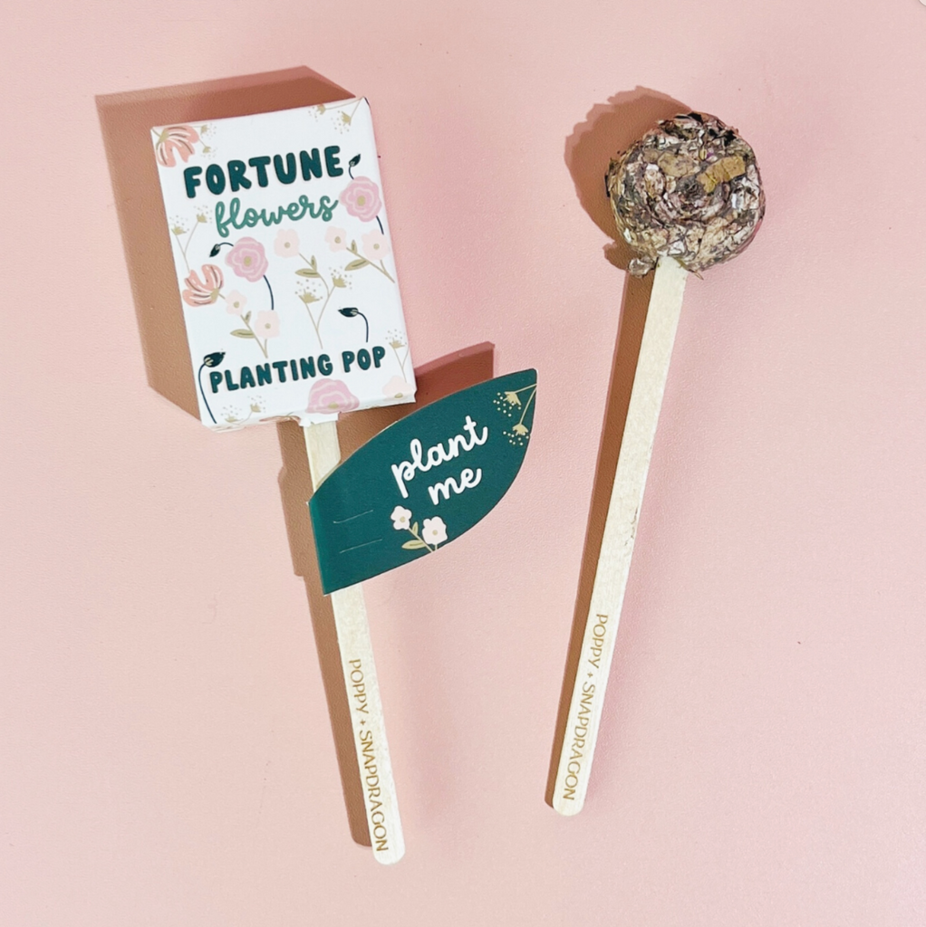 Jardin de fleurs de fortune + Pop de plantation de graines en cadeau