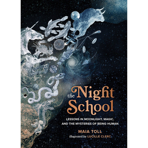 École du soir - Maia Toll