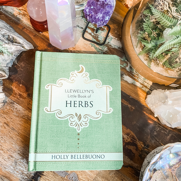 Llewellyn's Little Book of Herbs - Holly Bellebuono