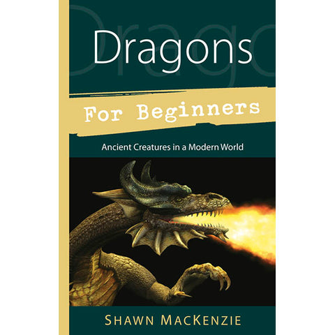 Dragons pour débutants - Shawn MacKenzie