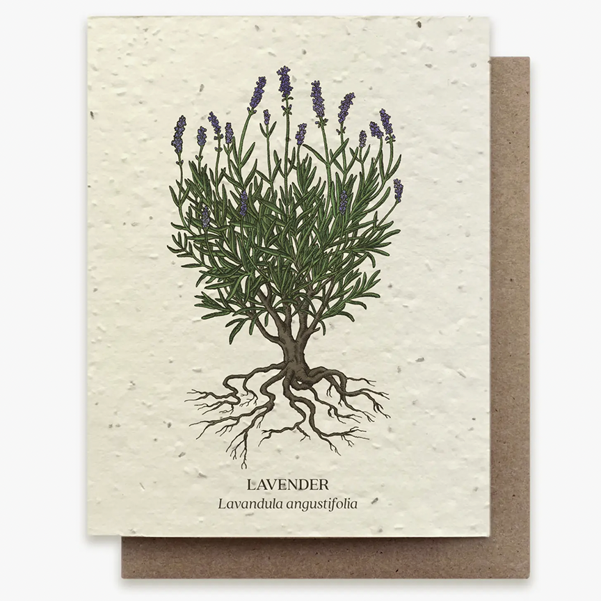 Plantable Wildflower Seed Greeting Card: Lavender