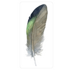 Divine Feather Messenger Deck - Alison DeNicola