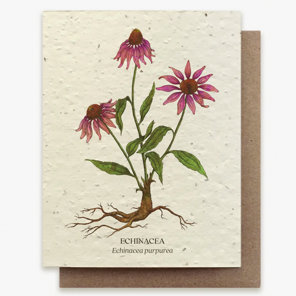 Plantable Wildflower Seed Greeting Card: Echinacea