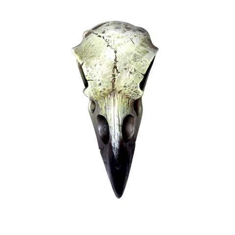Skull Small Raven (Resin)