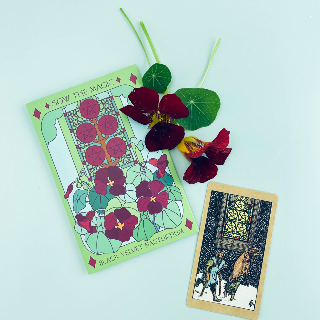 Jardin de tarot de capucine en velours noir + paquet de graines cadeau