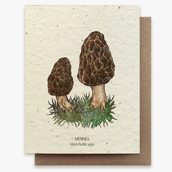 Plantable Wildflower Seed Greeting Card: Morel Mushroom
