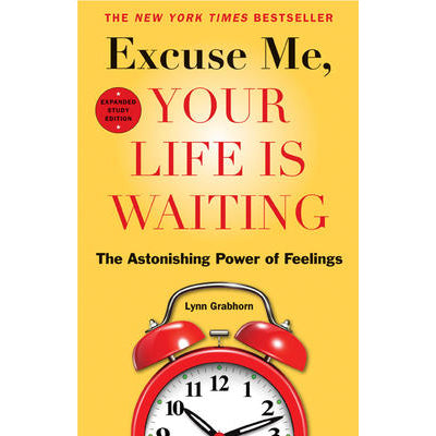 Excuse Me, Your Life is Waiting - Lynn Grabhorn