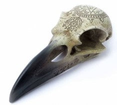 Crâne de Corbeau Omega (Résine)