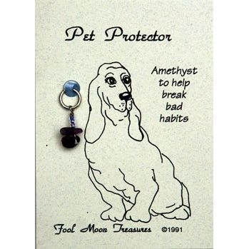 Pet Protector Dog Habits