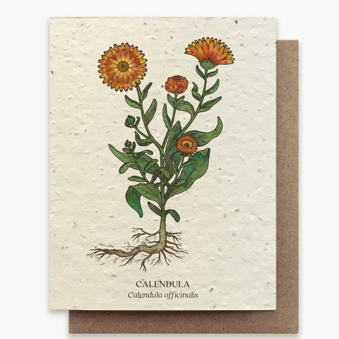 Plantable Wildflower Seed Greeting Card: Calendula