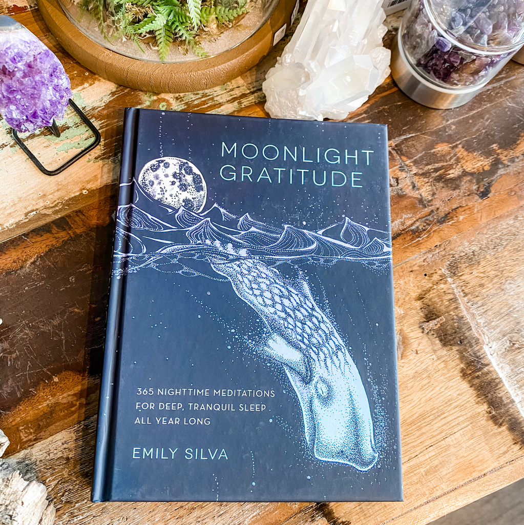 Moonlight Gratitude: 365 Relaxing Meditations for Tranquility before Sleep - Emily Silva