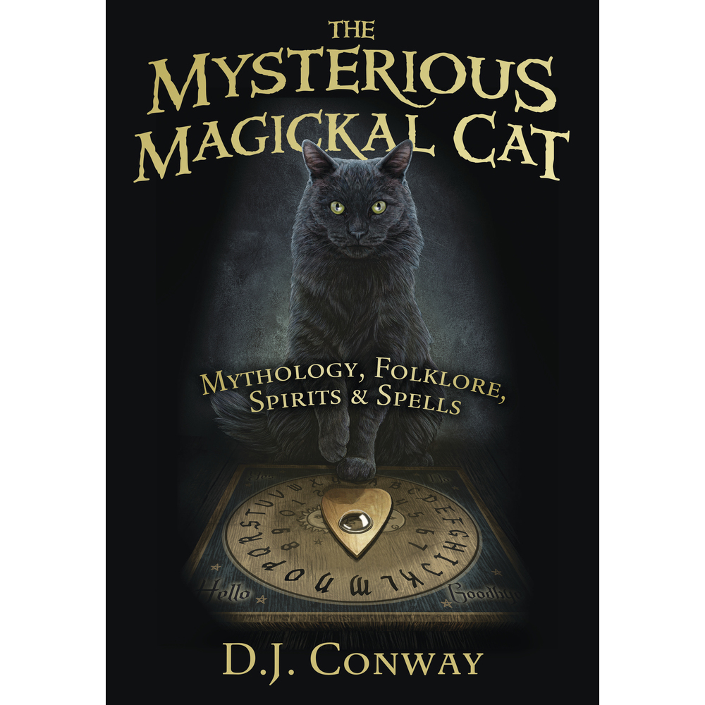 Chat magique mystérieux - DJ Conway