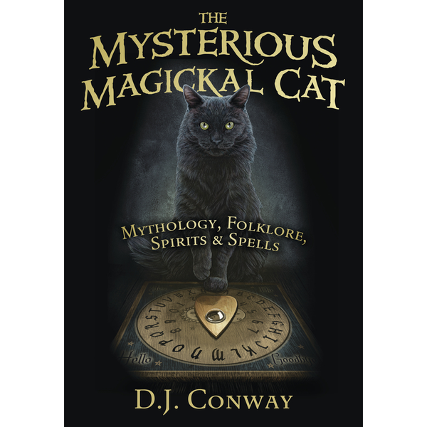 Chat magique mystérieux - DJ Conway