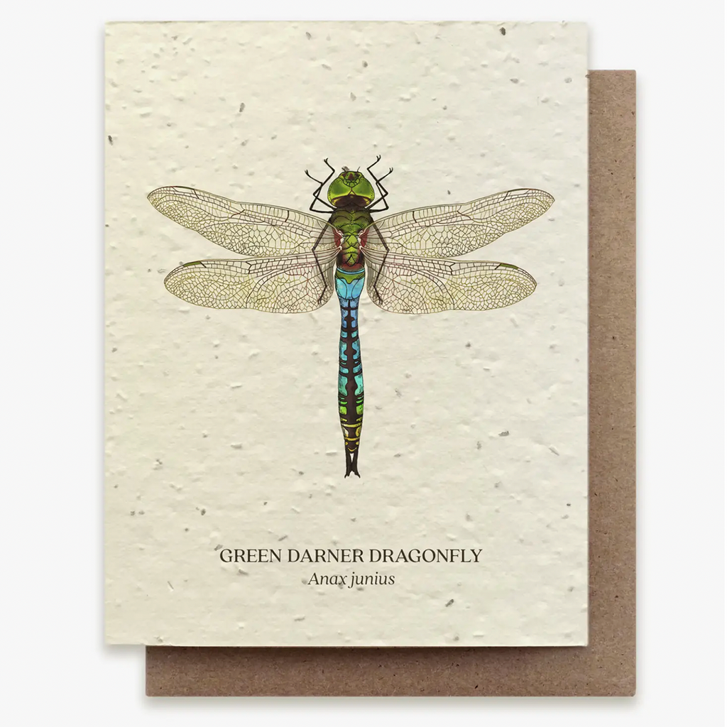 Plantable Wildflower Seed Greeting Card: Green Darner Dragonfly