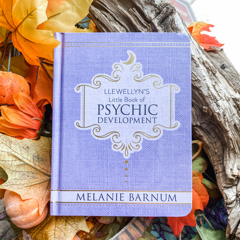 Llewellyn's Little Book of Psychic Development - Melanie Barnum