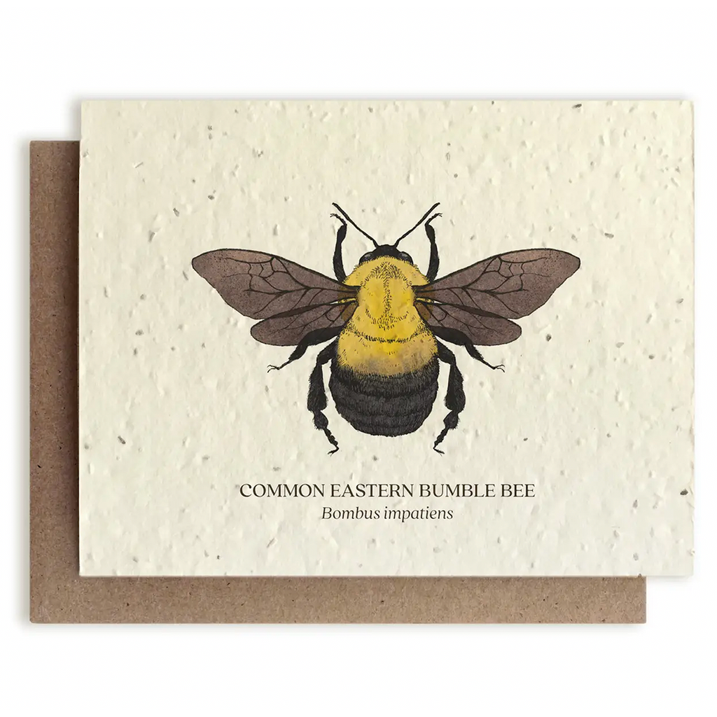 Plantable Wildflower Seed Greeting Card: Bumble Bee